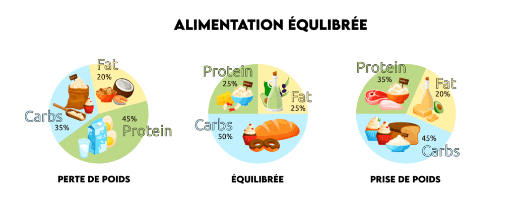 Balance-alimentaire-equlibre